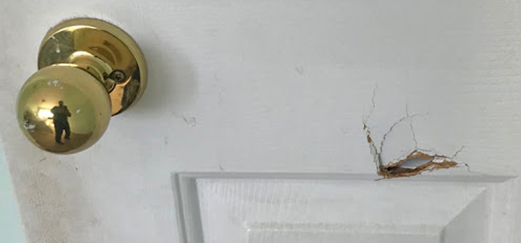 interior door hole repair Orange Cove